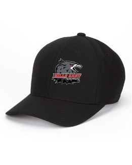 Baseball Hat