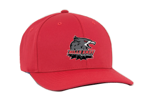 Baseball Hat